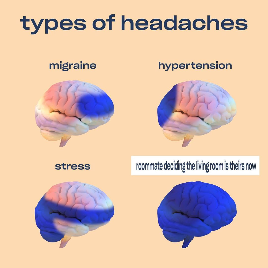 A meme that shows types of headaches and where they appear. Migraines, Hypertension, Stress, and Roommates deciding the living room is theirs now. From Recess's Instagram page.