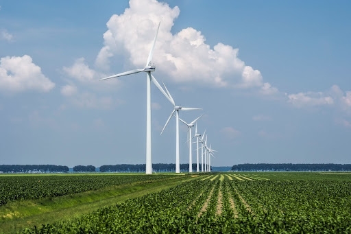 A line of wind turbines in a field.